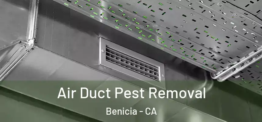 Air Duct Pest Removal Benicia - CA