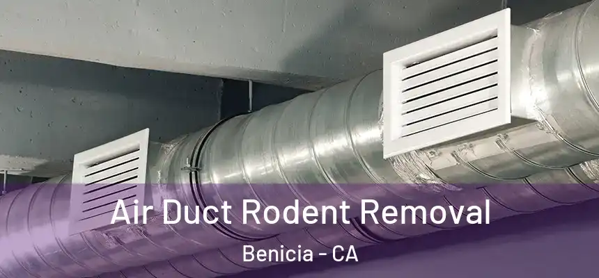 Air Duct Rodent Removal Benicia - CA