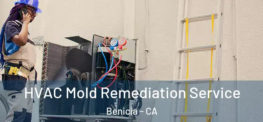  HVAC Mold Remediation Service Benicia - CA