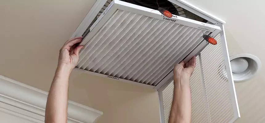 Our Insect Removal from Air Ducts Services in Benicia, CA