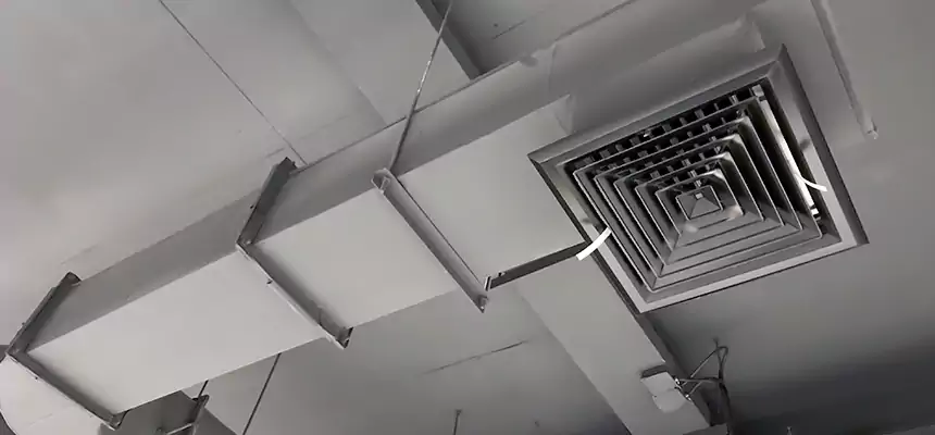 Our Pest Removal From Ducts Services in Benicia, CA