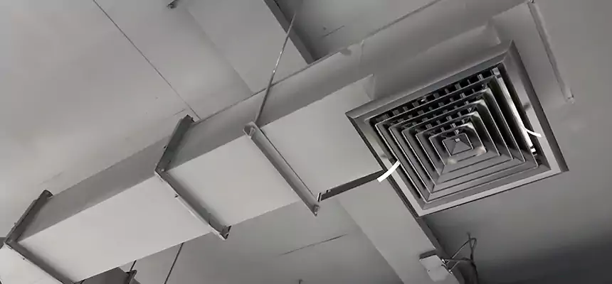 Our Rodent Droppings In Vents Services in Benicia, CA