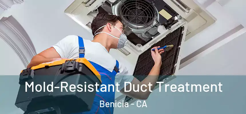  Mold-Resistant Duct Treatment Benicia - CA