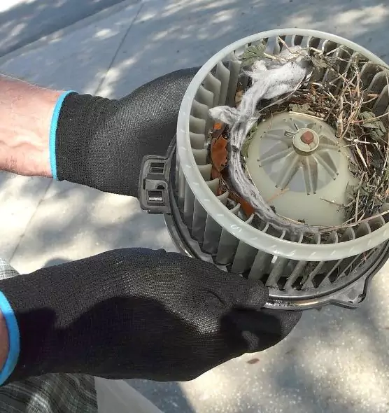 About Air Duct Mice Removal in Benicia, CA