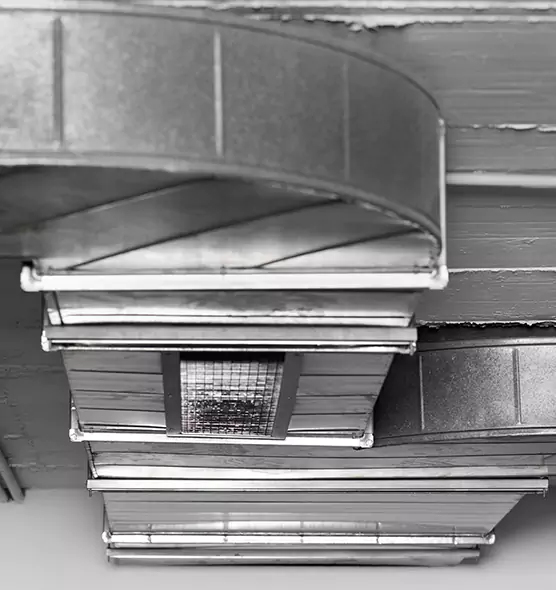 Professional Air Duct Pest Removal in Benicia, CA