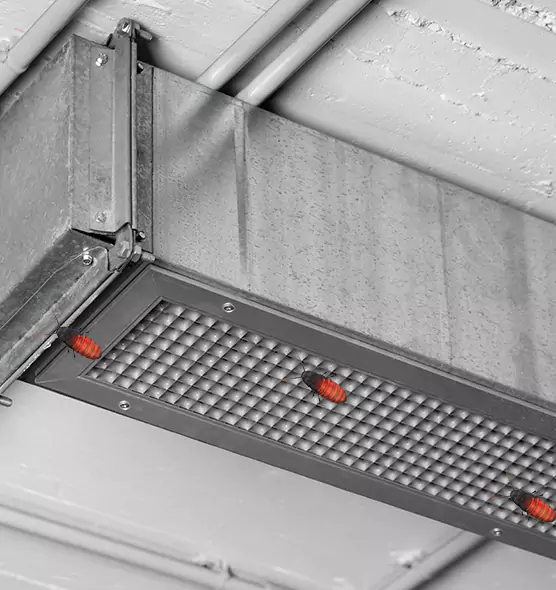 Affordable Insect Removal from Air Ducts in Benicia, CA