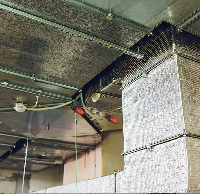 Why Homeowners & Businesses Trust Us in Benicia, CA?