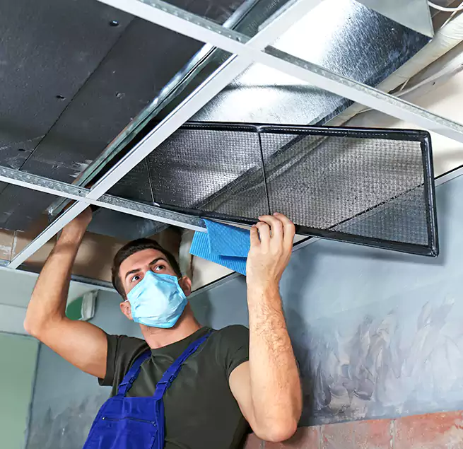 Why Homeowners Businesses Trust Us in Benicia, CA