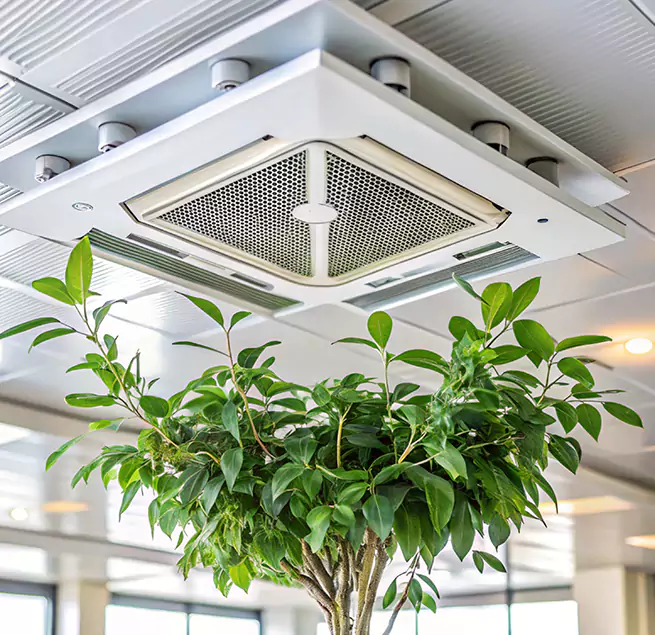 Why Homeowners & Businesses Trust Us in Benicia, CA