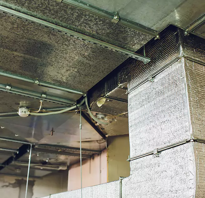 Why Homeowners & Businesses Trust Us in Benicia, CA?